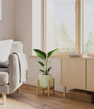 Load image into Gallery viewer, Turquoise stand:bamboo