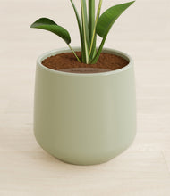 Load image into Gallery viewer, Turquoise stand:all