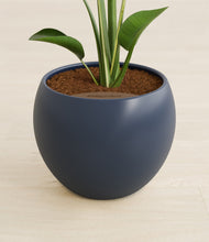 Load image into Gallery viewer, Deep Navy stand:all