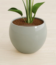 Load image into Gallery viewer, Deep Ocean stand:all