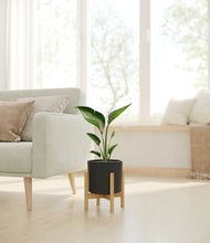 Load image into Gallery viewer, Black stand:bamboo