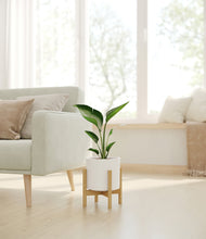 Load image into Gallery viewer, White stand:bamboo
