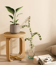 Load image into Gallery viewer, Eternal Gray