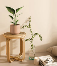 Load image into Gallery viewer, Gentle Pink