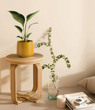 Load image into Gallery viewer, Mustard