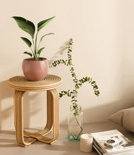 Load image into Gallery viewer, Calm Rose