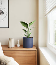 Load image into Gallery viewer, Deep Navy