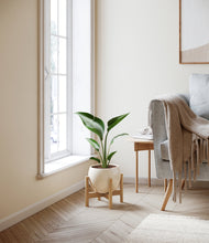 Load image into Gallery viewer, Shiny EggWhite stand:bamboo