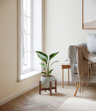 Load image into Gallery viewer, Deep Ocean stand:walnut