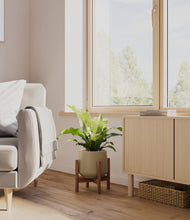 Load image into Gallery viewer, Olive stand:walnut