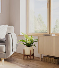 Load image into Gallery viewer, Almond Green stand:walnut