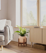 Load image into Gallery viewer, Gentle Pink stand:walnut