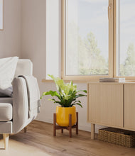 Load image into Gallery viewer, Mustard stand:walnut