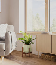 Load image into Gallery viewer, Turquoise stand:walnut