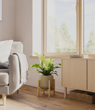 Load image into Gallery viewer, Olive stand:bamboo