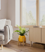 Load image into Gallery viewer, Mustard stand:bamboo