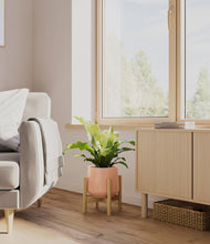 Load image into Gallery viewer, Calm Rose stand:bamboo