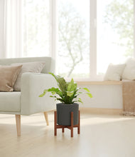 Load image into Gallery viewer, Dark Olive stand:walnut