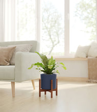 Load image into Gallery viewer, Deep Navy stand:walnut