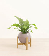 Load image into Gallery viewer, Winter Clouds stand:bamboo