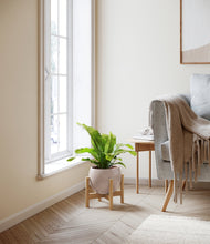 Load image into Gallery viewer, Desert Brown stand:bamboo