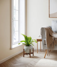 Load image into Gallery viewer, Deep Ocean stand:walnut