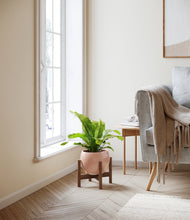 Load image into Gallery viewer, Calm Rose stand:walnut