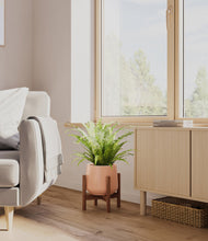 Load image into Gallery viewer, Calm Rose stand:walnut