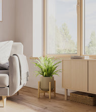 Load image into Gallery viewer, Olive stand:bamboo