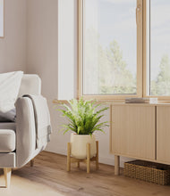 Load image into Gallery viewer, Almond Green stand:bamboo