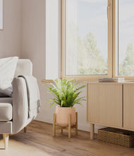 Load image into Gallery viewer, Gentle Pink stand:bamboo