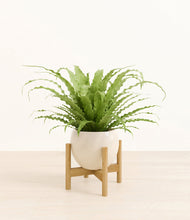 Load image into Gallery viewer, Shiny EggWhite stand:bamboo