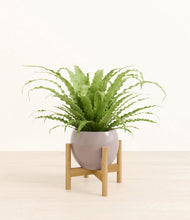 Load image into Gallery viewer, Winter Clouds stand:bamboo