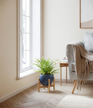 Load image into Gallery viewer, Deep Navy stand:bamboo