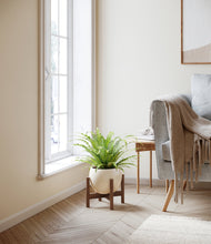 Load image into Gallery viewer, Shiny EggWhite stand:walnut