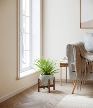 Load image into Gallery viewer, Deep Ocean stand:walnut