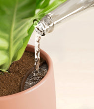 Load image into Gallery viewer, Calm Rose stand:all