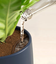 Load image into Gallery viewer, Deep Navy stand:all