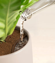 Load image into Gallery viewer, Eternal Gray stand:all