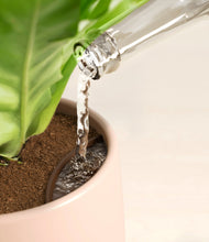 Load image into Gallery viewer, Gentle Pink stand:all