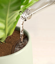 Load image into Gallery viewer, Turquoise stand:all