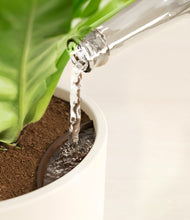 Load image into Gallery viewer, Cream stand:all