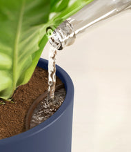 Load image into Gallery viewer, Deep Navy stand:all