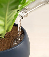 Load image into Gallery viewer, Deep Navy stand:all