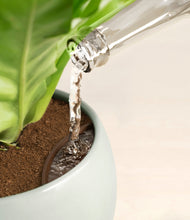 Load image into Gallery viewer, Deep Ocean stand:all