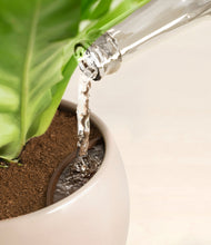 Load image into Gallery viewer, Desert Brown stand:all