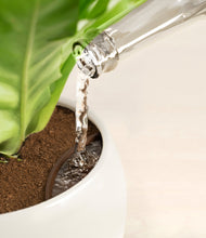 Load image into Gallery viewer, Shiny EggWhite stand:all