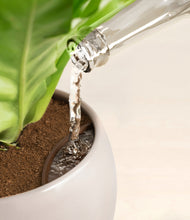 Load image into Gallery viewer, Winter Clouds stand:all