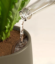 Load image into Gallery viewer, Olive stand:all