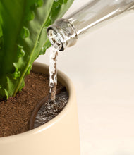 Load image into Gallery viewer, Almond Green stand:all